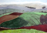 040908_nabij_sinmpelveld_01__acryl_op_papier__35x29.jpg