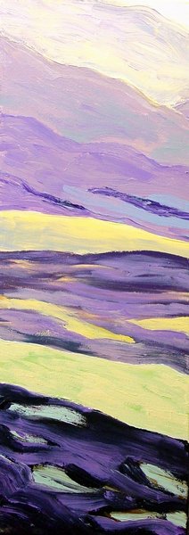012_060407_landschap__acrylopdoek__30x80.jpg